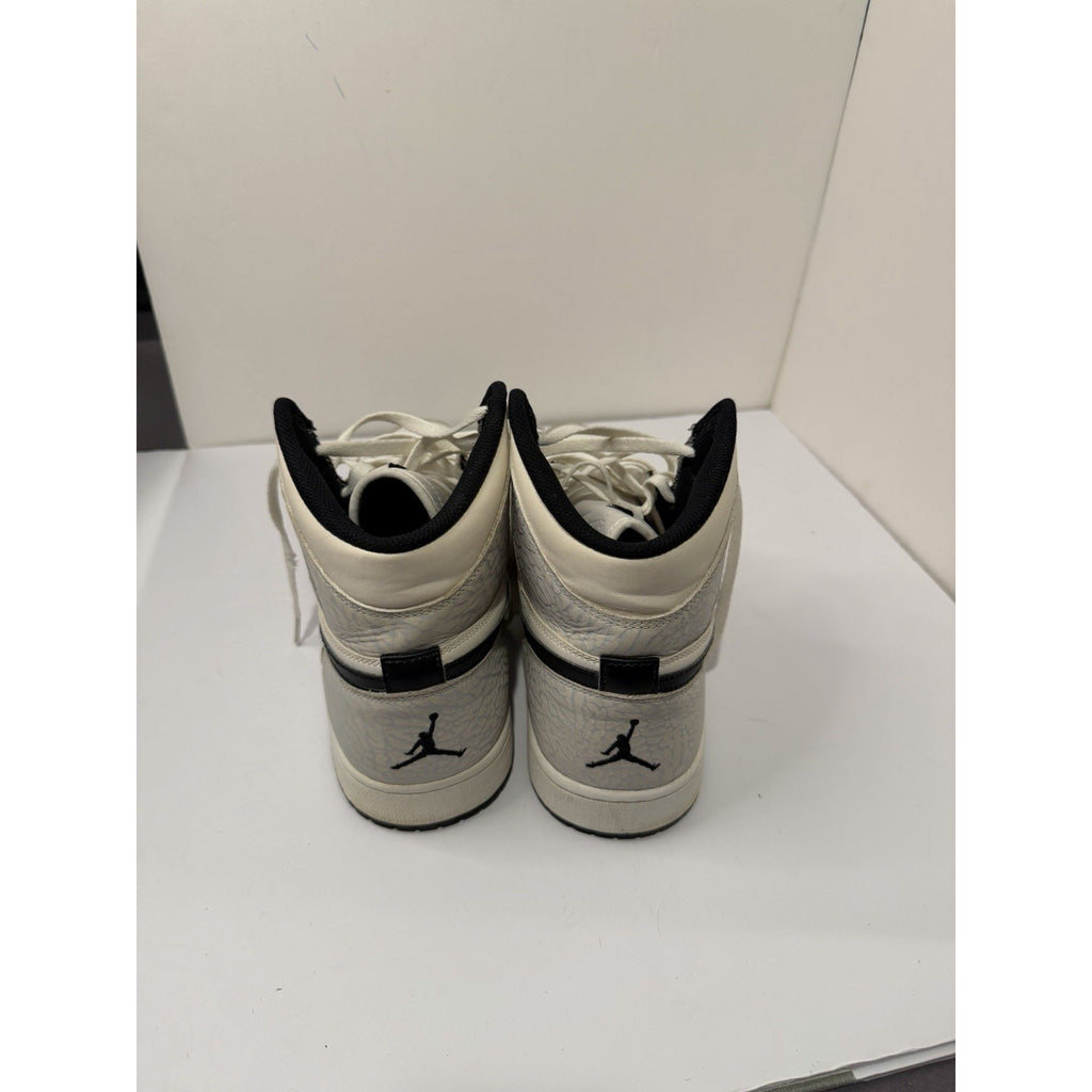 Size 13 - Jordan 1 Elephant Print 999 Sample